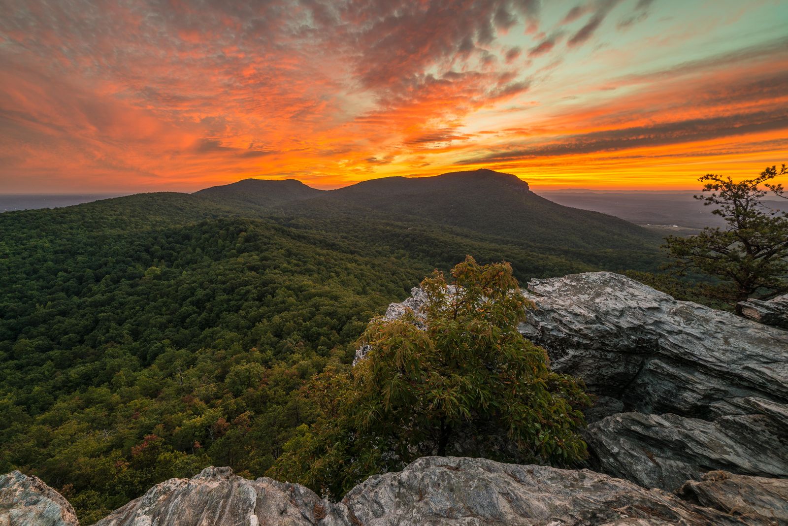 Experience Holiday Magic in Stokes County, NC